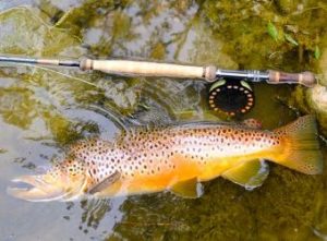 highlander trout spey rods